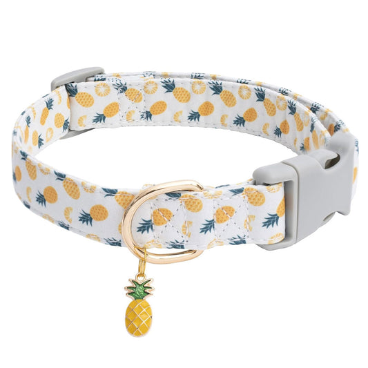 Collar para mascotas diseño de piñas con charm