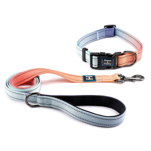 Set de Paseo Premium: Collar y Correa Reflectantes de Alta Visibilidad