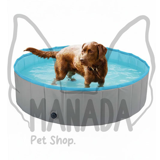 Piscina para perros plegable y resistente